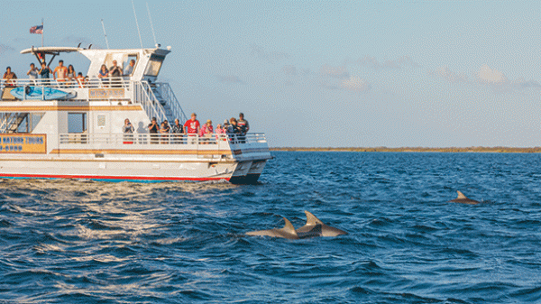 mustang-2 a small boat in a large body of water